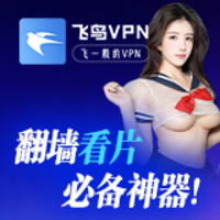 飞鸟VPN